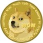 Dog Money Daily