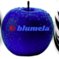 blumela