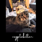 cryptokitten