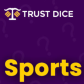 Sports Betting
