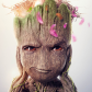 Iamgrooot