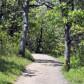 Health and Fitness experiences