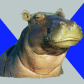 Hippos4ever