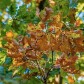 My photography blog