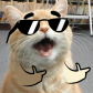 VeryKoolKat
