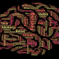 Open Mind