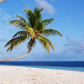 CryptoBeach