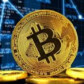 TheCryptoWizard
