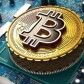 BitsForDays