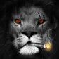 TheKingo8