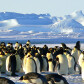 Antarctica Conspiracy
