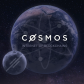 Cosmos Network Family and Friends