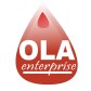 Ola336533