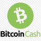 Bitcoin Cash Update