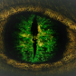 DragonEyeTrading