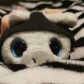 cryptozebra