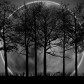 Earth is beautiful