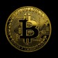 BITCOIN - Trailblazing the Cryptosphere