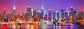 Libertarian NYC