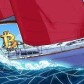 Crypto Sailor
