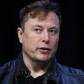 elonmusk-dhh