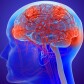 Diary Entry's 1-70 of 4 Dimension Cerebrality