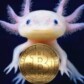 Crypto-Awareness official Blog