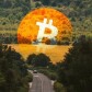 Crypto guide
