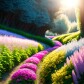 Labyrinth of Ideas