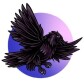 CrowFinance.net