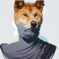 SocraticDingo