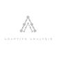 Adaptive Analysis