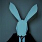 rabbt
