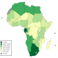 African Crypto Hustler