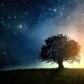 Exploring Outer Space: A New Frontier