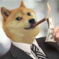 Dogefan