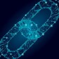 Crypto Blog by MonkeyBusiness