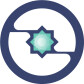 Insights Network