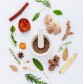 THE HEALING PROPERTIES OF HERBS