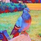 Crypto Rap Lyrics