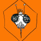 Beekeeper Diary