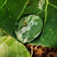 Science and Photography