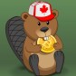 Crypto Beaver