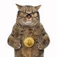 New Age Wealth