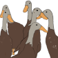 DostixRanch