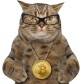 New Age Wealth