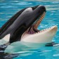rantree_blog