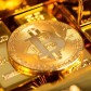 Crypto currency lover