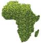 Crypto in Africa
