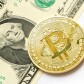 Crypto Markets vs. Stock Markets